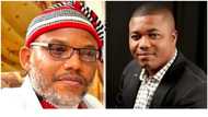 Court awards N52 million to Nnamdi Kanu’s lawyer over Illegal invasion