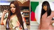 BBNaija's Nengi reveals the ship of her previous relationship has capsized (video)