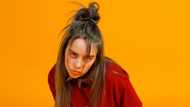 Billie Eilish: full bio and interesting facts