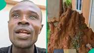 Viral video shows how termites ravaged newly built house in Nigeria, people react