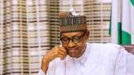 'It is the most shameful thing,' Nigerians react to terrorists' attack on Buhari's convoy in Katsina