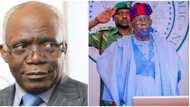 Requirement Tinubu must fulfill before declaring war against Niger Republic, Femi Falana reveals