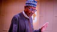 2023: Buhari asked to ensure those who celebrated his sickness don't succeed him