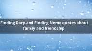 50+ finding Dory and Finding Nemo quotes about family and friendship
