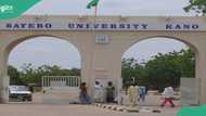 Drama as security operatives nab 2 fake lecturers in popular Nigerian varsity, details emerge