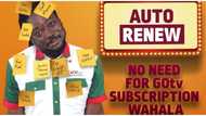 Discover great movies and shows on GOtv