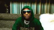 Wizkid says he feels bad everytime he kills a bug, fans react with amusement
