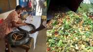 Secondary school students transform wastes into cooking gas, photo shows them demonstrating how it works