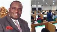 Mmesoma Ejikeme: Former NUC boss Okebukola reveals what UTME cheats should expect from JAMB