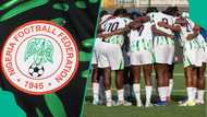 NFF set up committee to investigate Super Falcons WAFCON 2026 and 2027 Women's World Cup failure