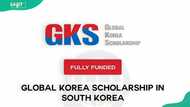 How to apply for GKS scholarship in Nigeria? Requirements for the global Korea scholarship