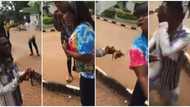 Nigerian female student gives boyfriend hot slap in public as she rejects his proposal in new video