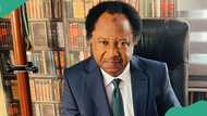 "Wasu ba su jin dadi": Shehu Sani kan kokarin Matawalle a yaki da ta'addanci