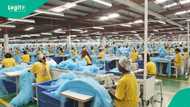 CPPE warns 10m Nigerian jobs at risk over Senate’s call for textile import ban