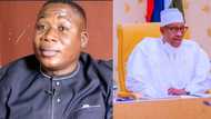 Buhari's govt gives condition to bring back Sunday Igboho from Benin Republic
