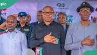 Just In: Top Peter Obi's ally dumps Labour Party for APC