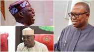 Peter Obi blasts PDP, APC, reveals their fate in 2023 election