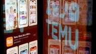 EU questions shopping app Temu over illegal products risk