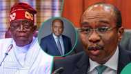 “It’s reckless, Emefiele has not resigned”: Lawyer reacts as Tinubu nominates Cardoso as new CBN gov