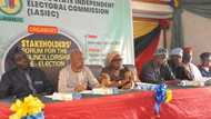 Lagos LGA elections 2021: Full list of APC, PDP candidates and other important facts to know
