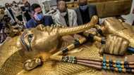 Tutankhamun: Egyptians bid to reclaim their history