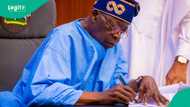 "Civil war": Southeast stakeholders blast Tinubu over customs controller tenure extension
