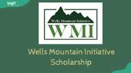 Can Nigerian students receive the Wells Mountain Initiative scholarship? Everything to know