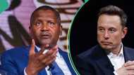 Elon Musk loses over N12trn in 6 hours, Dangote, Rabiu also drop in billionaire ranking