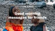 150+ good morning messages for friends to wish them a great day ahead