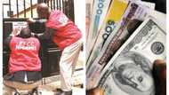 Naira crash: Bureau de change operators in trouble as EFCC launch vicious raid in Abuja