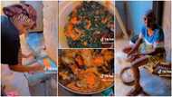 Beautiful Nigerian lady visits ex-boyfriend's grandma, cooks rice and sweet soup for her