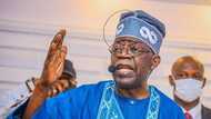 2023: Tinubu ya fadi babban sauyin da zai kawo a aikin 'yan sanda idan ya gaji Buhari