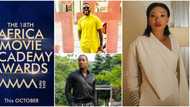 “AMAA awards 2022 is not a popularity contest, it is about professionalism”: Founder Peace Anyiam-Osigwe says