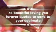 75 beautiful loving you forever quotes to send to your soulmate