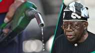 Petrol price increased by over 600% in 3 years after subsidy removal