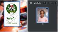 Drama as INEC uploads lady's picture as election result for Ado-Ekiti, Nigerians react