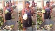 "You are too much": Beautiful lady who sells coconut peels it in a sweet way, TikTok video goes viral