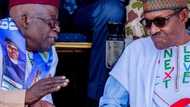 Ondo APC primary: Presidency favours Governor Akeredolu, dumps Tinubu’s candidate