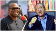 Just in: Peter Obi emerges Labour Party's 2023 Presidential Ticket as Influential Professor Steps down for him