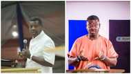 Please forgive my extreme statement: Adeboye's son, Leke finally apologises