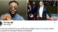 “I won't pay a dime”: BBN's Pere blows hot as he loses Twitter verification, says Elon Musk has ruined things