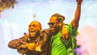 Flytime Music Festival Day 4: Top 4 Talking Points from ‘A Decade of Davido’