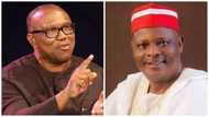 Ya kamata ka girmi siyasar kabilanci: Peter Obi ya caccaki Kwankwaso