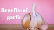 What does garlic do to the body?