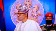 Electoral Bill: I don't believe in direct primaries, Buhari blows hot, slams National Assembly