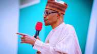 Heated reactions from Nigerians as report shows 103 out of Buhari's 190 appointees come from south