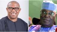 2023: Why I didn’t tell Atiku I was leaving PDP, Obi gives strong, powerful reason