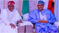 Buhari reveals how President-elect Tinubu will rule Nigeria when he assumes office on May 29