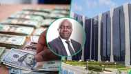 "It Is Important": Naira Plunges to N850/$ as Forex Demand Sparks Concern, CBN Urged to Begin Investigation