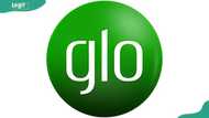 Full list of Glo USSD codes for airtime, data, and much more